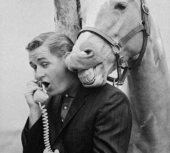 From the Horses Mouth